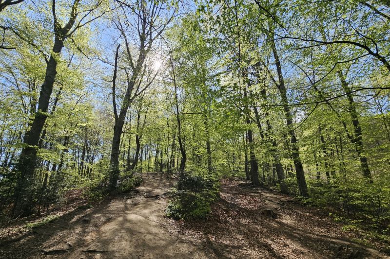 În luna aprilie au fost depășite în România și recorduri meteo de frig de la 1949